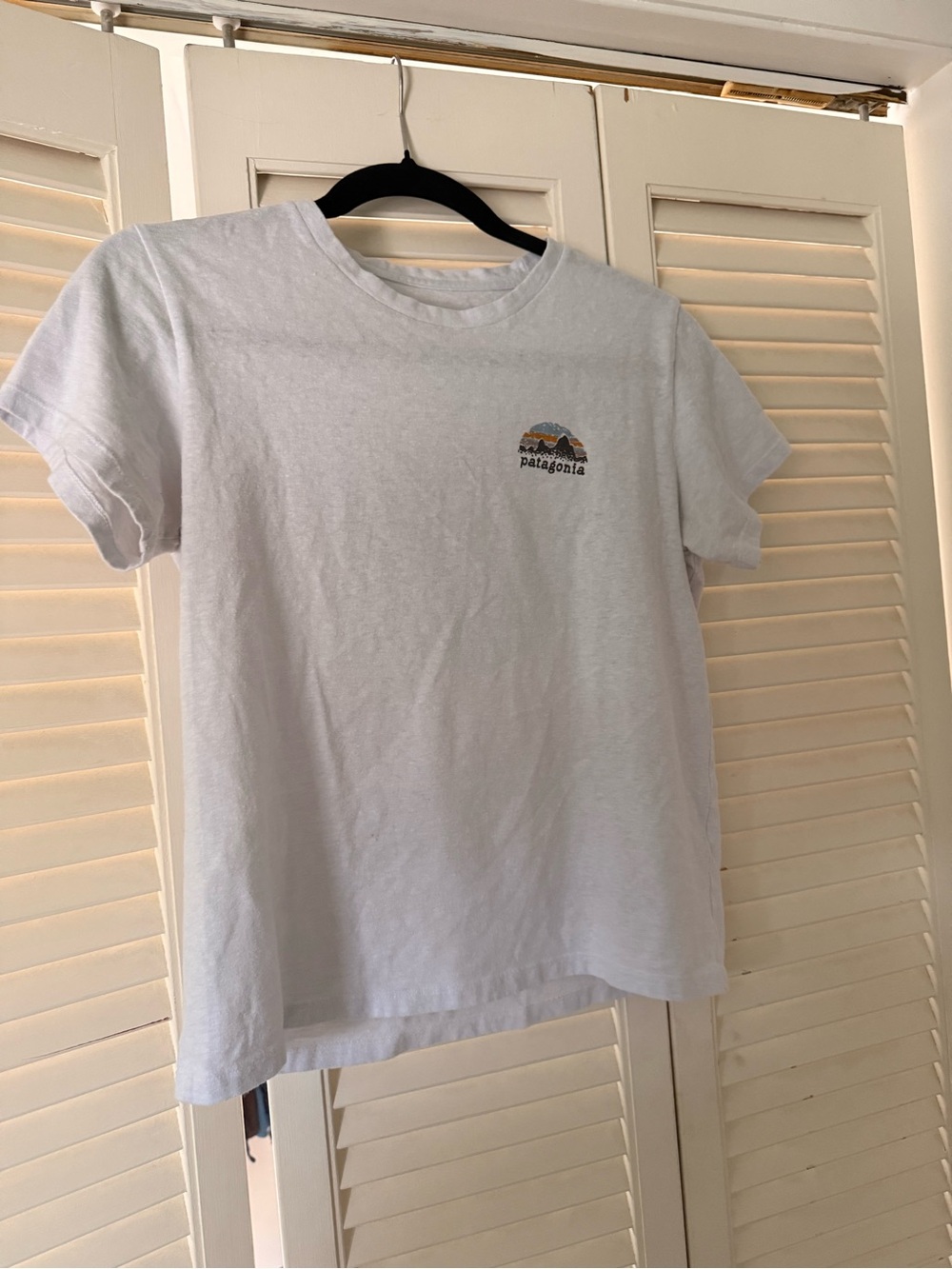 Patagonia Women’s White Graphic Logo Tee